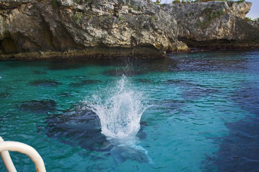 Cliff Jumping in Negril, Jamaica
