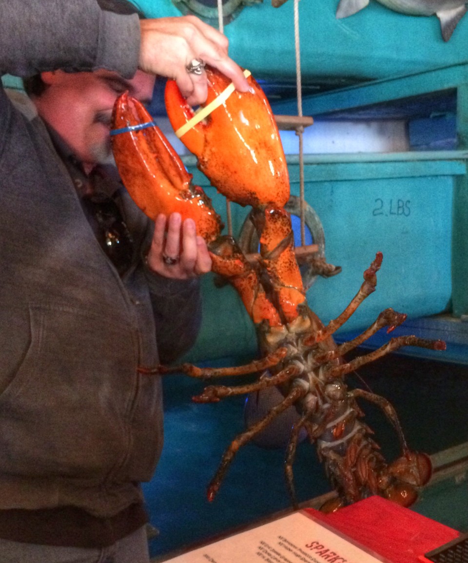 Sunday Pranzo: A Lobster Feast in Boston