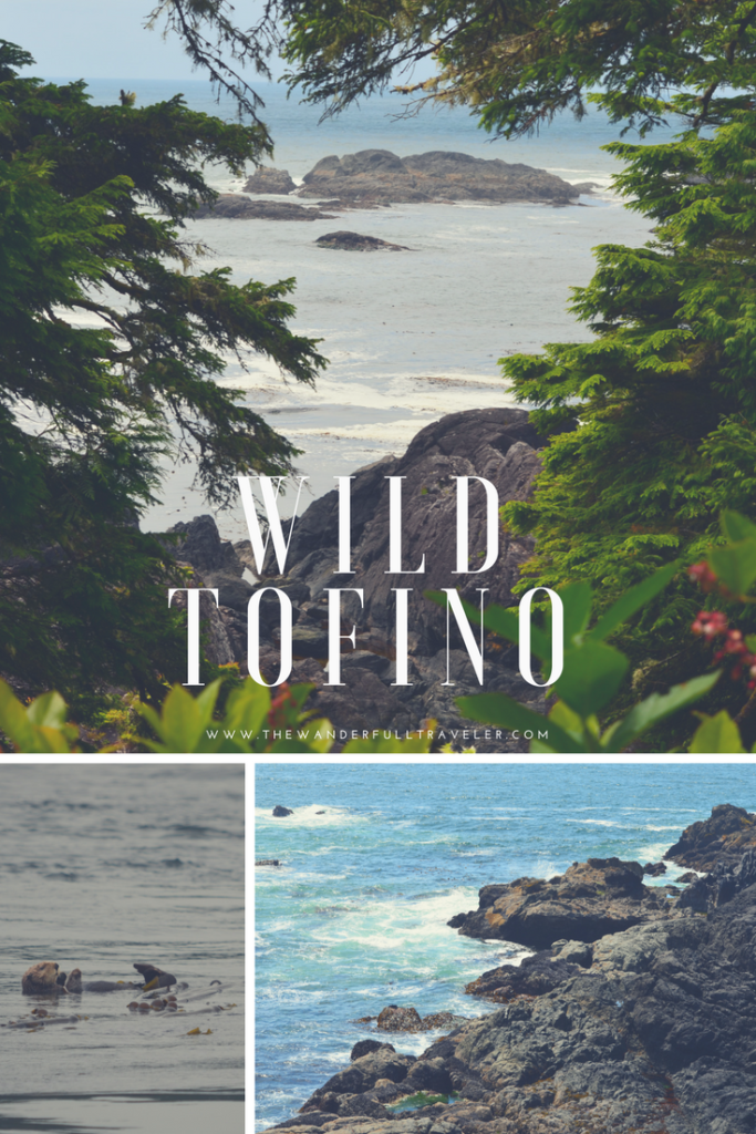 Wild Tofino: Beaches, Wildlife & Hiking