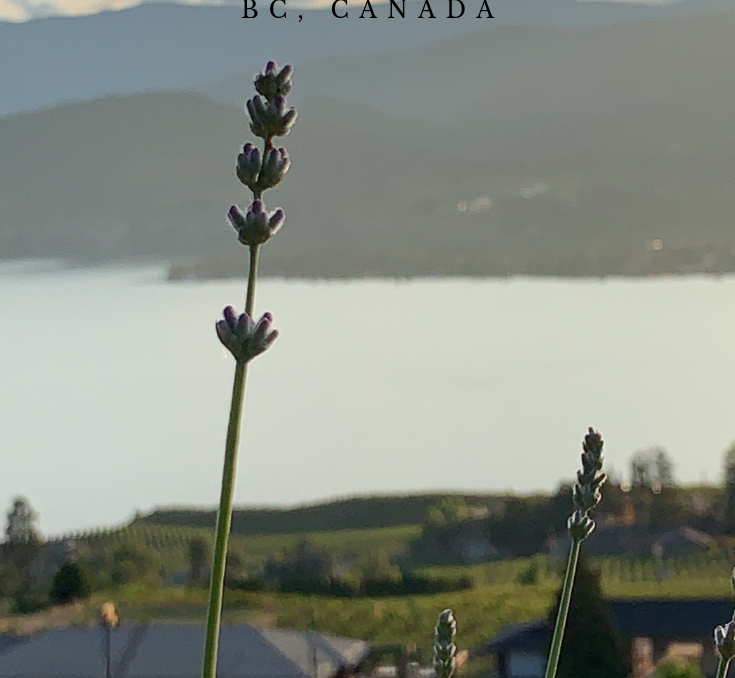 Wine Country Getaway: A Re-Education in Naramata