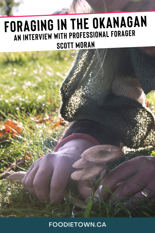 Okanagan Foraging with Scott Moran